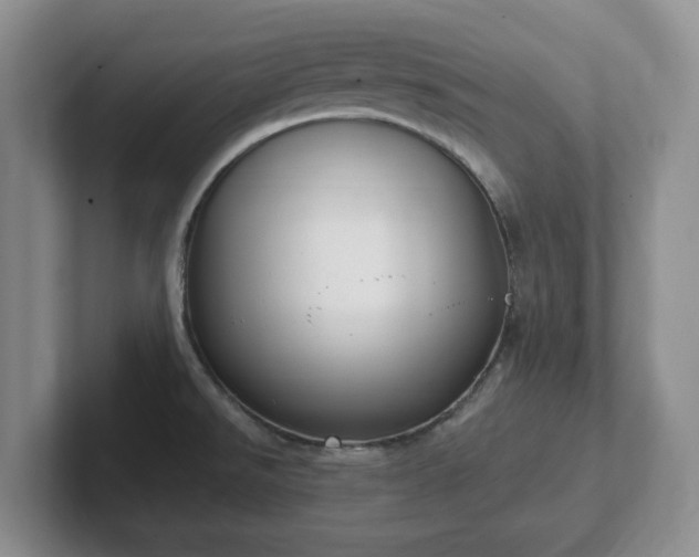 X0000102531526200808151544