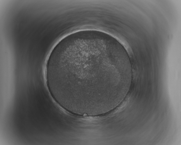 X0000102531527200808151544