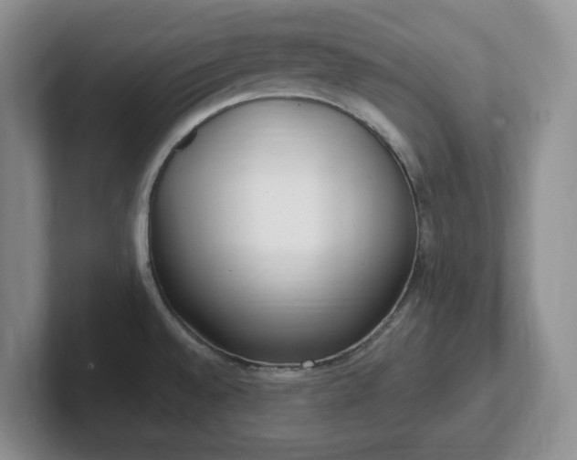 X0000102531528200808151544