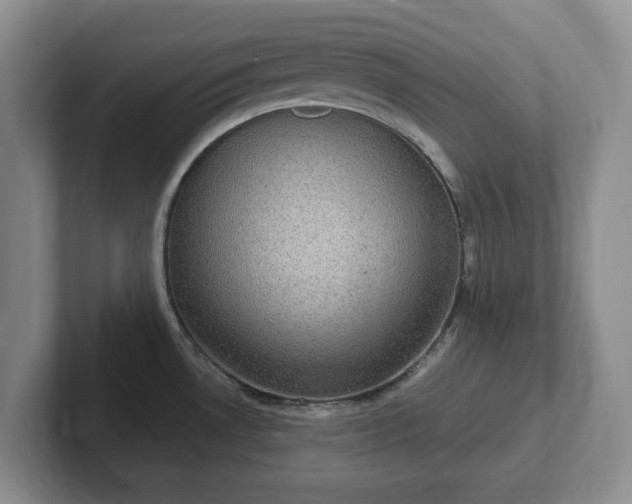 X0000102531530200808151544