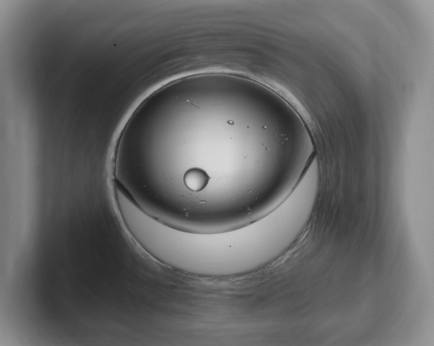 X0000102531532200808151544