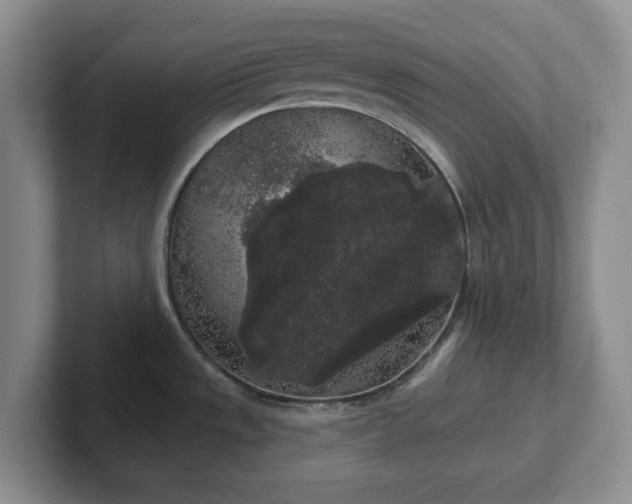 X0000102531533200808151544