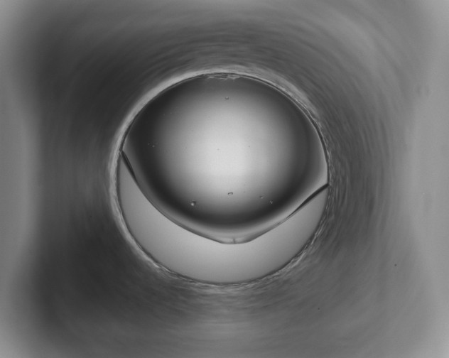 X0000102531536200808151544