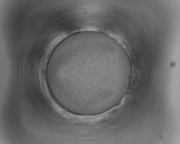 X0000102530001200808221916