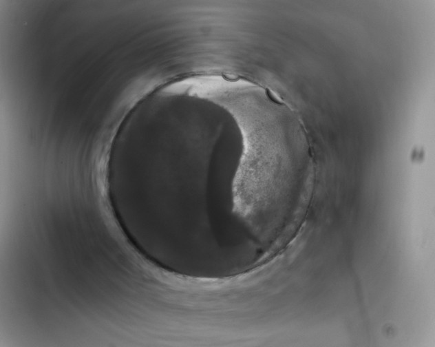 X0000102530002200808221916