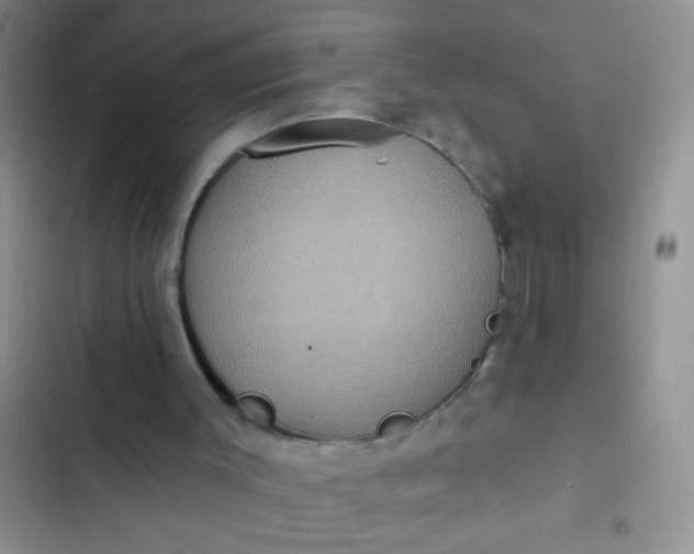 X0000102530003200808221916