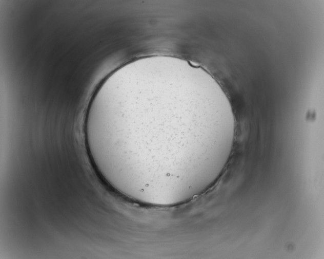 X0000102530004200808221916