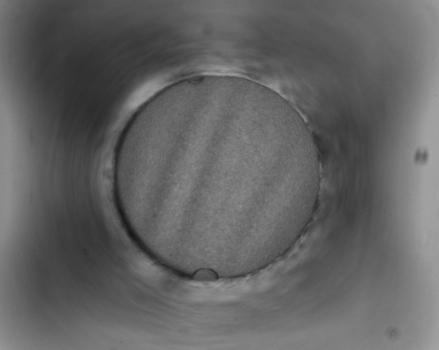 X0000102530005200808221916