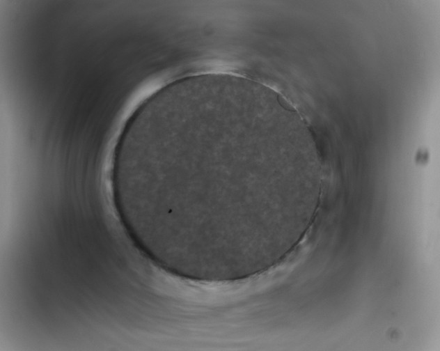 X0000102530006200808221916