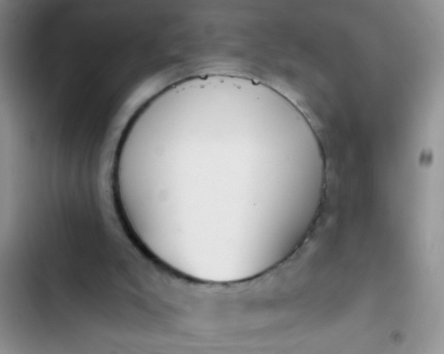 X0000102530007200808221916