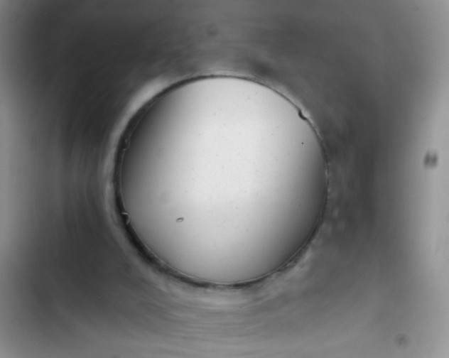 X0000102530008200808221916