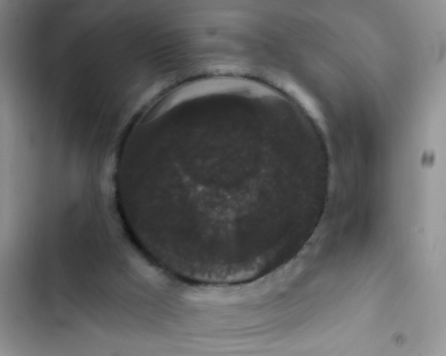 X0000102530009200808221916