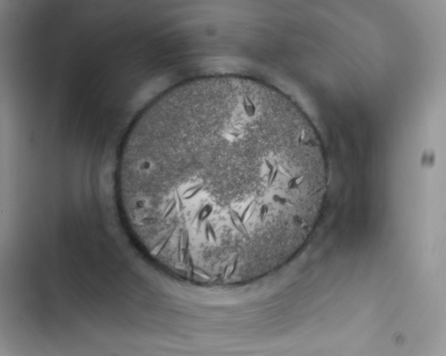 X0000102530010200808221916