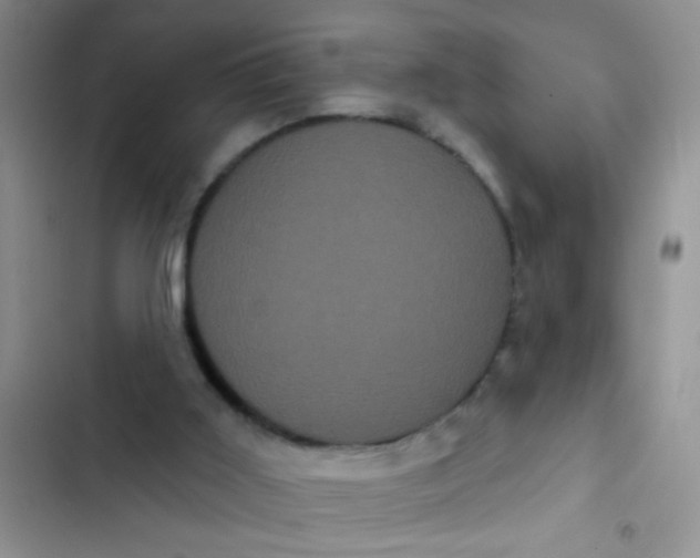 X0000102530011200808221916