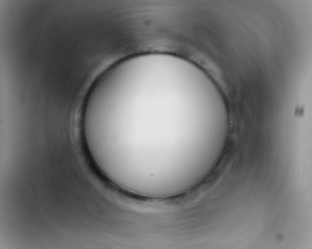 X0000102530012200808221916