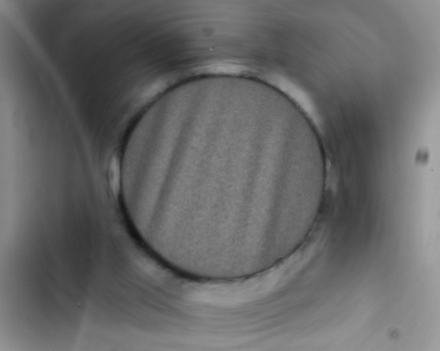 X0000102530013200808221916