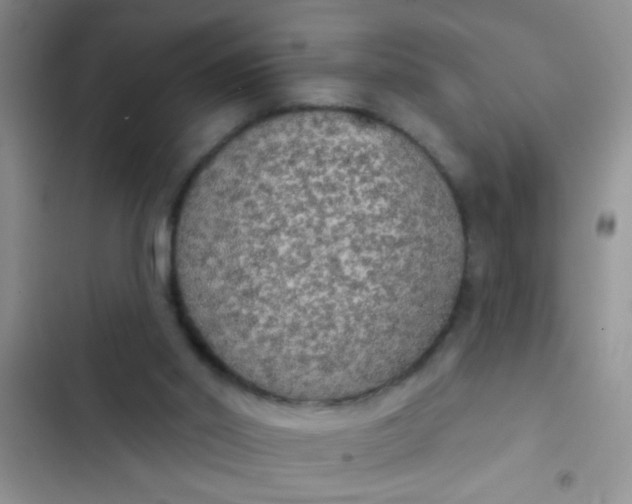 X0000102530014200808221916