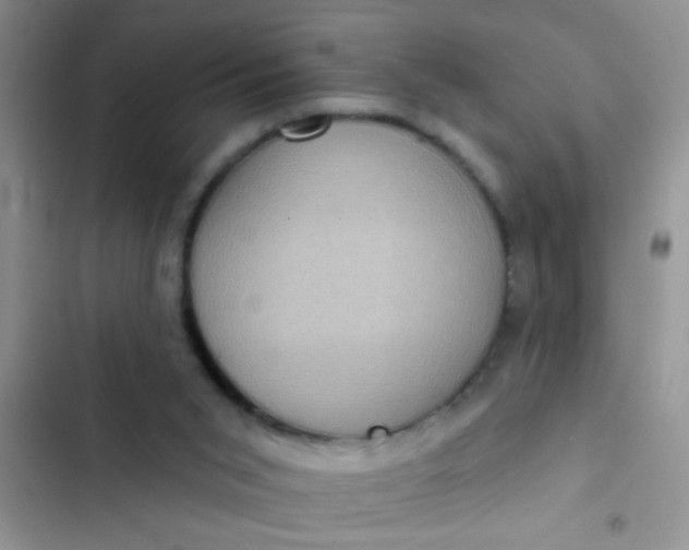 X0000102530015200808221916