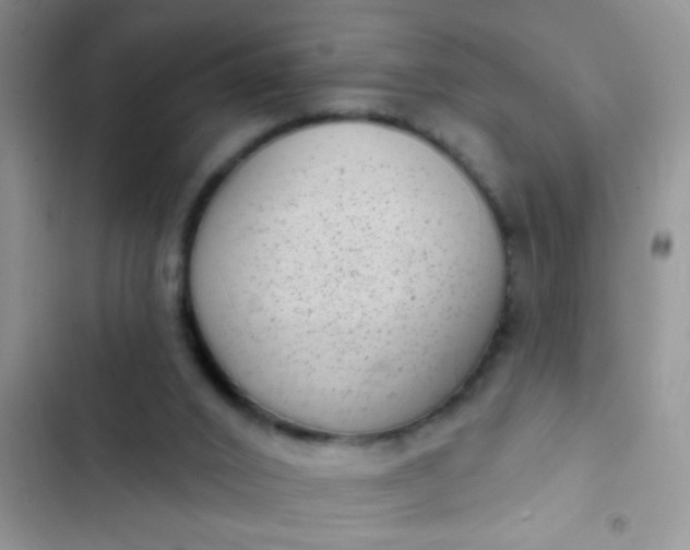 X0000102530016200808221916