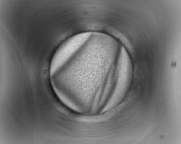 X0000102530017200808221916