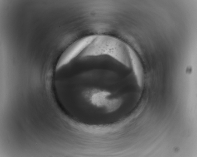 X0000102530018200808221916