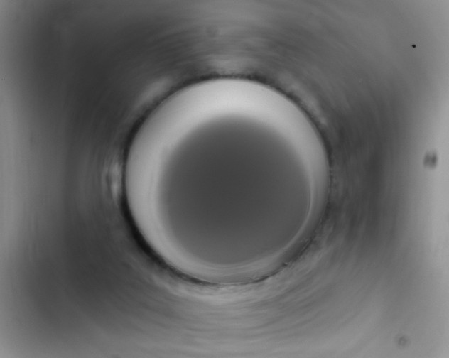 X0000102530019200808221916