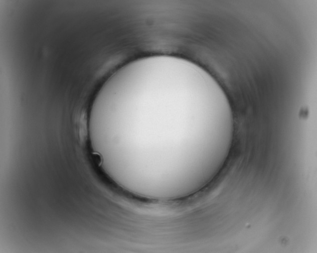 X0000102530020200808221916