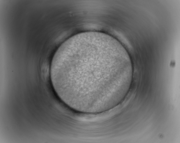 X0000102530021200808221916