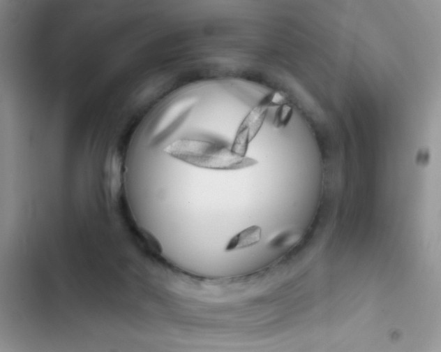 X0000102530022200808221916