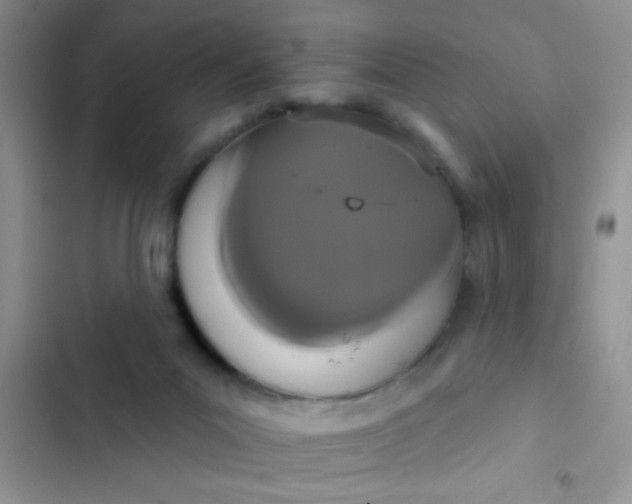 X0000102530023200808221916