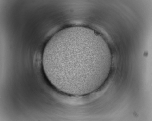 X0000102530024200808221916