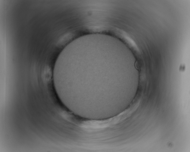 X0000102530025200808221916