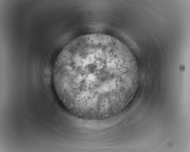 X0000102530026200808221916