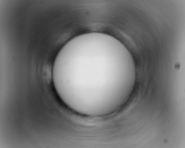 X0000102530028200808221916