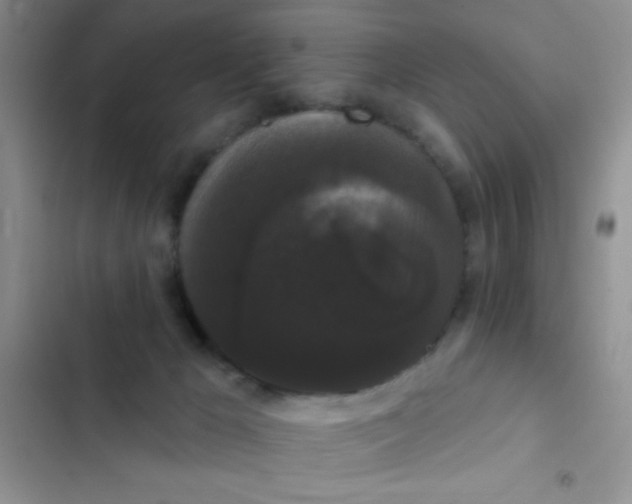 X0000102530029200808221916