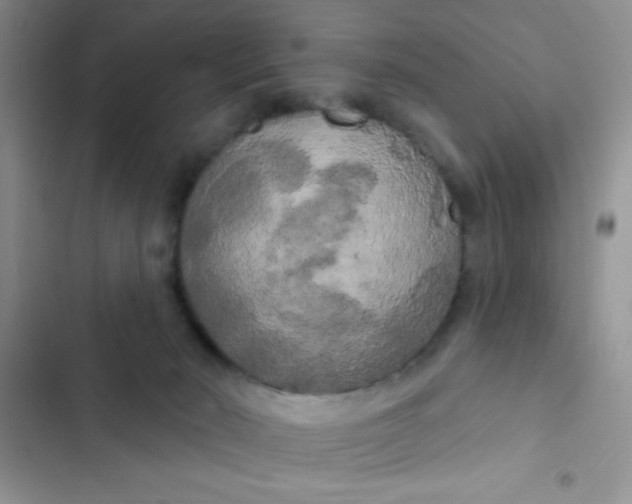 X0000102530030200808221916