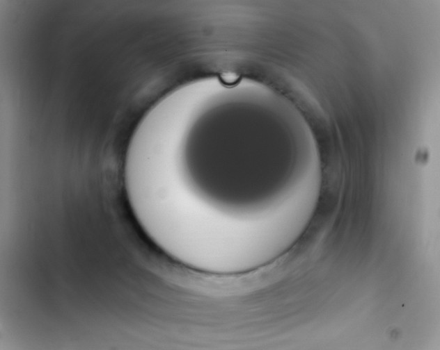 X0000102530031200808221916