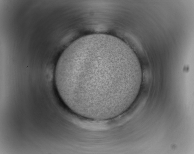 X0000102530032200808221916