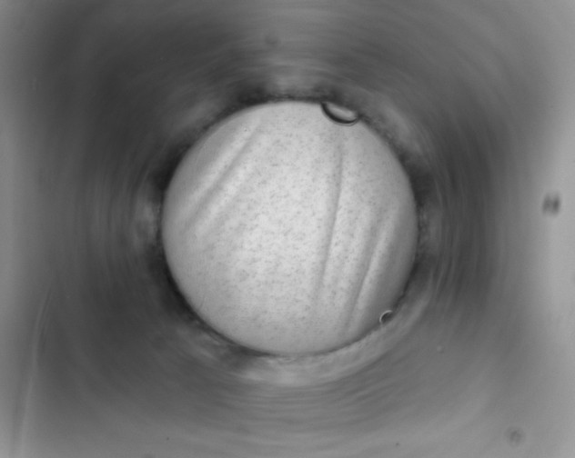 X0000102530033200808221916