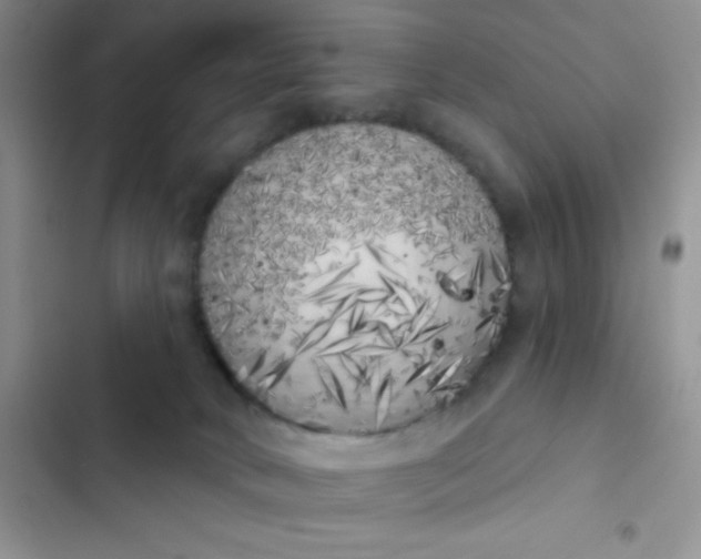 X0000102530034200808221916