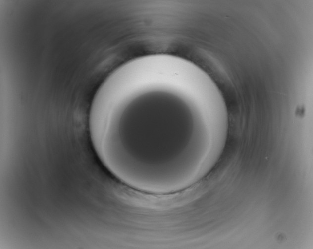 X0000102530035200808221916