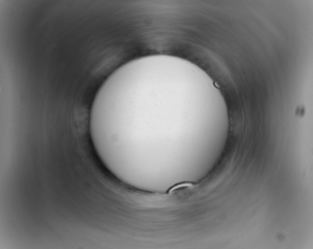 X0000102530036200808221916