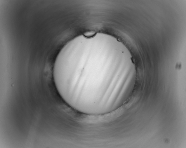 X0000102530037200808221916