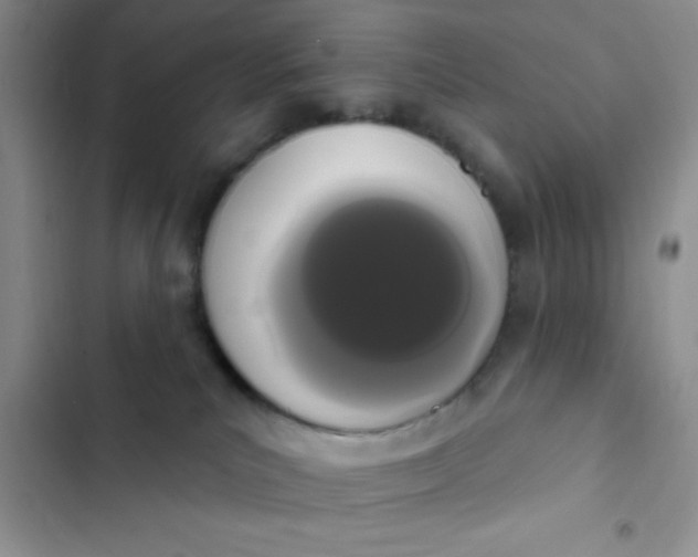 X0000102530039200808221915