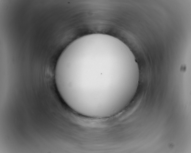 X0000102530040200808221915