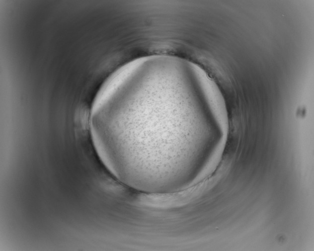 X0000102530041200808221915