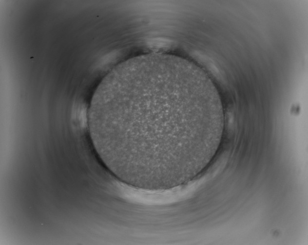 X0000102530042200808221915