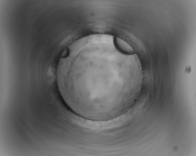 X0000102530043200808221915