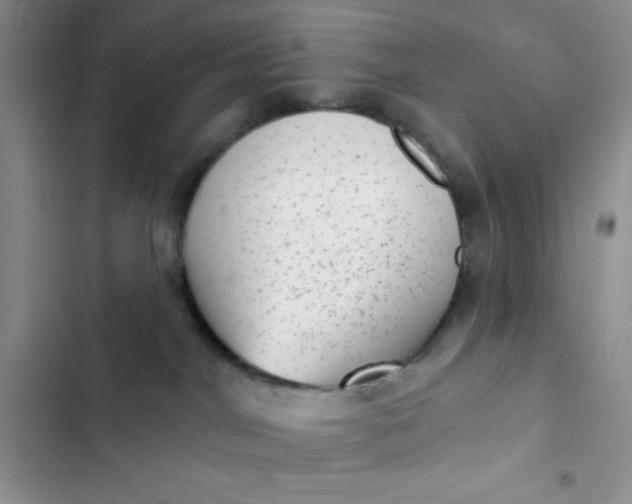 X0000102530044200808221915