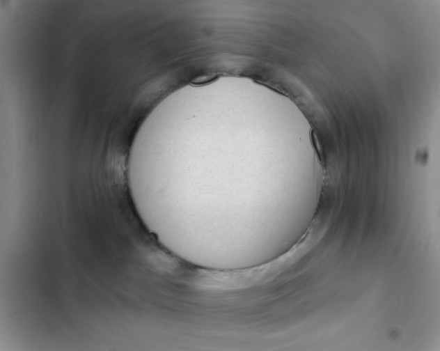 X0000102530045200808221915